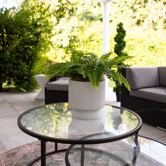 19 UV Resistant Artificial Boston Fern Indoor/Outdoor - Set of 2 - SKU #P2182-S2 - 6