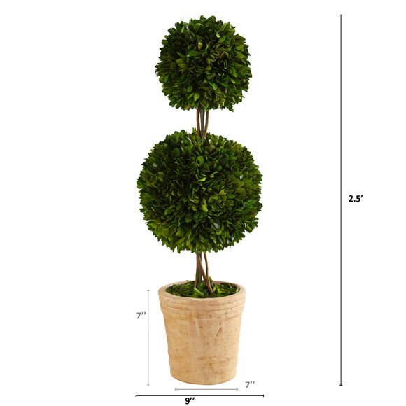 2.5 Preserved Boxwood Double Ball Topiary Tree in Decorative Planter - SKU #T1001 - 1