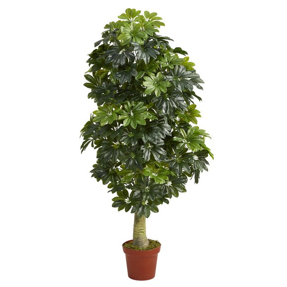 5 Schefflera Artificial Tree Real Touch - SKU #T1520