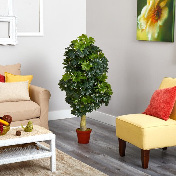 5 Schefflera Artificial Tree Real Touch - SKU #T1520 - 2