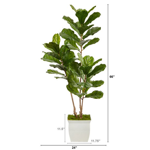 5.5 Fiddle Leaf Artificial Tree in White Metal Planter UV Resistant Indoor/Outdoor - SKU #T2487 - 1