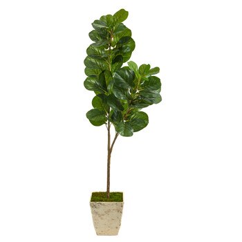 5.5 Fiddle leaf Fig Artificial Tree in Country White Planter - SKU #T2500