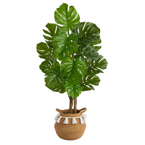 4 Monstera Tree in Boho Chic Handmade Natural Cotton Woven Planter with Tassels UV Resistant - SKU #T2921 - 1
