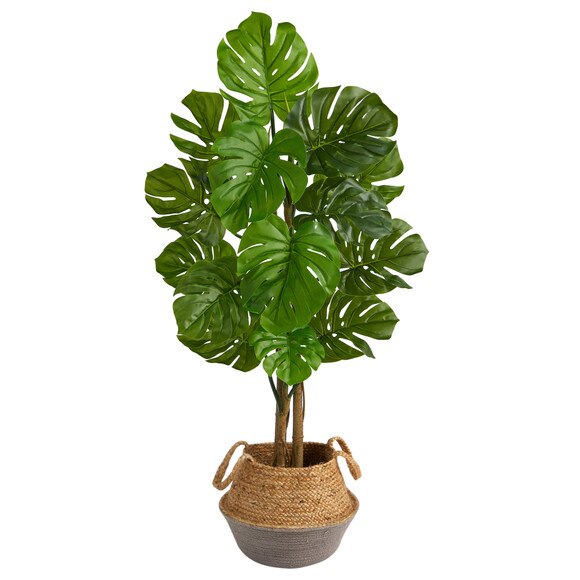 4 Monstera Tree in Boho Chic Handmade Cotton Jute Gray Woven Planter UV Resistant - SKU #T2922 - 1