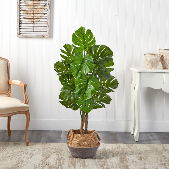 4 Monstera Tree in Boho Chic Handmade Cotton Jute Gray Woven Planter UV Resistant - SKU #T2922 - 2