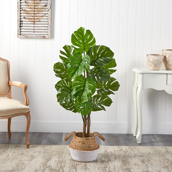 4 Monstera Tree in Boho Chic Handmade Cotton Jute White Woven Planter UV Resistant - SKU #T2923 - 2