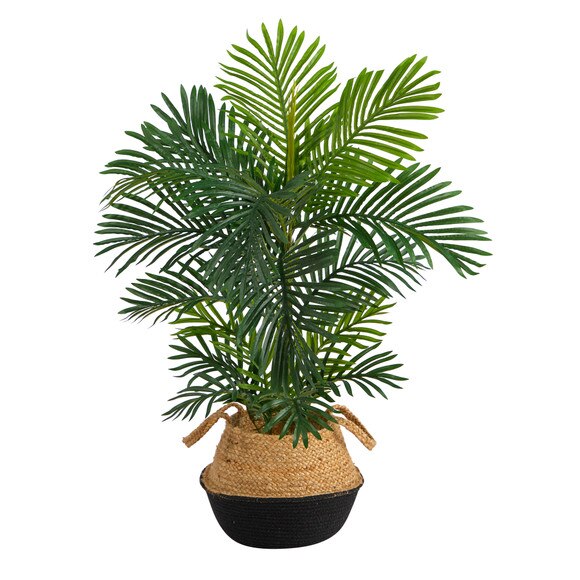 40 Areca Palm Tree in Boho Chic Handmade Cotton Jute Black Woven Planter UV Resistant - SKU #T2948