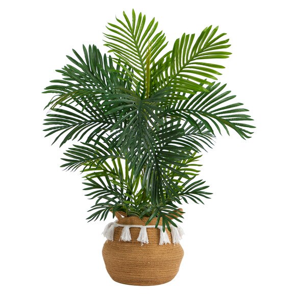 40 Areca Palm Tree in Boho Chic Handmade Natural Cotton Woven Planter with Tassels UV Resistant - SKU #T2949