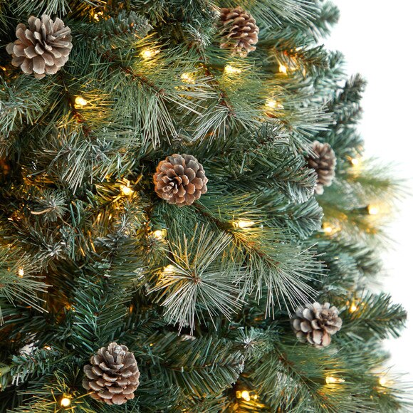8 Frosted Tip British Columbia Mountain Pine Tree with 500 Clear Lights Pine Cones - SKU #T3501 - 3