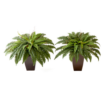 23 Artificial Boston Fern Plant with Tapered Bronze Square Metal Planter DIY KIT - Set of 2 - SKU #T4486-S2