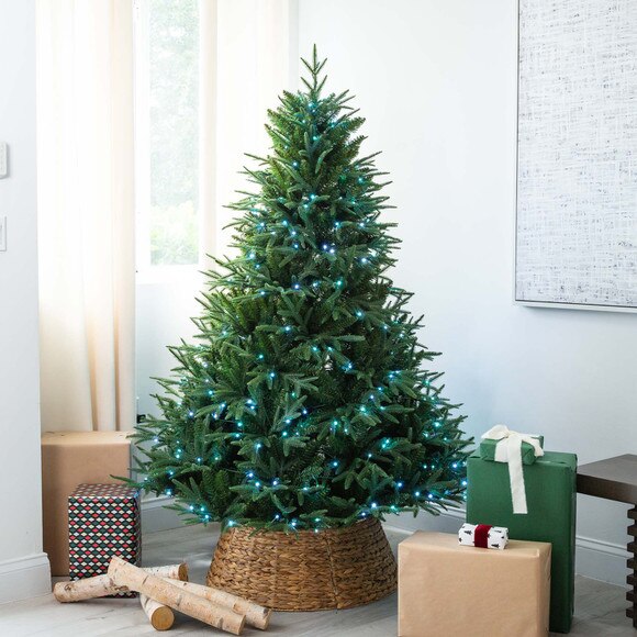 6 Pre-Lit Artificial Edmonton Fir Light Show Memory Shape Christmas Tree with Instant Connect Technology and 300 Color Changing LED Lights - SKU #T4785 - 10