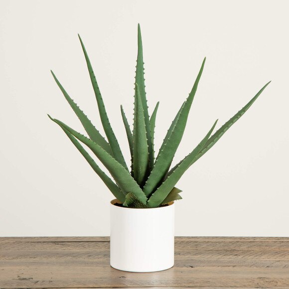 17.5-in Artificial Agave Plant - SKU #T4888-S1 - 5