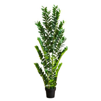 5-ft Artificial Zamioculcas Plant - SKU #T5090