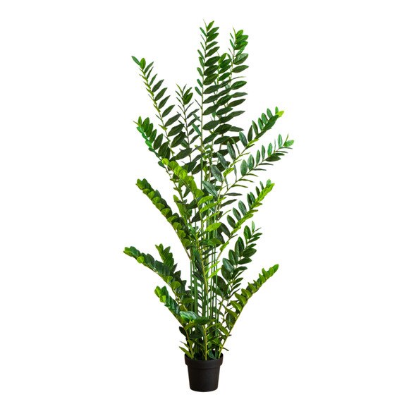 6-ft Artificial Zamioculcas Plant - SKU #T5091