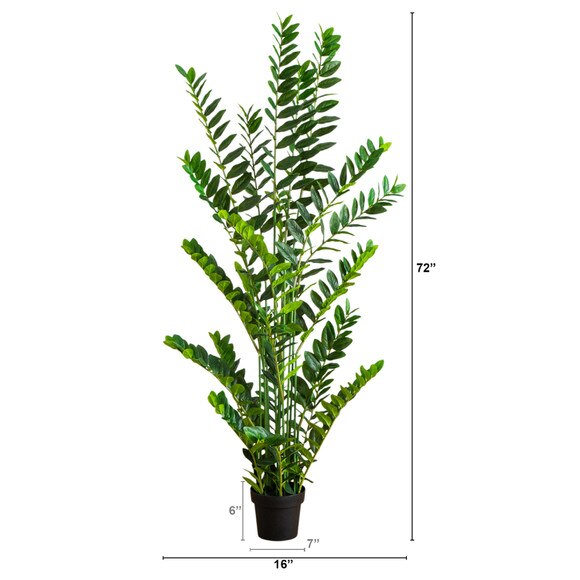 6-ft Artificial Zamioculcas Plant - SKU #T5091 - 1
