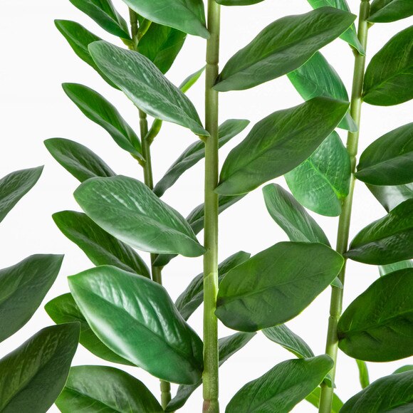 6-ft Artificial Zamioculcas Plant - SKU #T5091 - 2