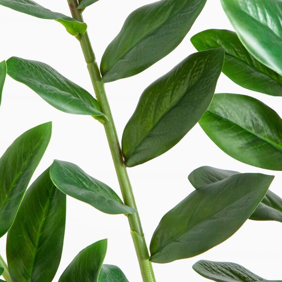 6-ft Artificial Zamioculcas Plant - SKU #T5091 - 3