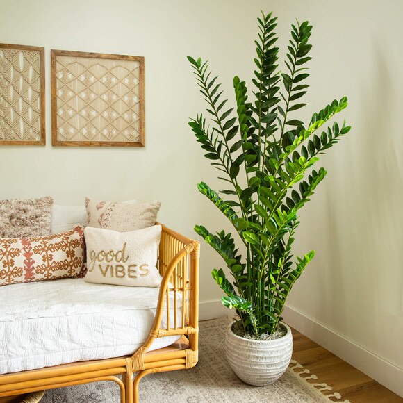 6-ft Artificial Zamioculcas Plant - SKU #T5091 - 5