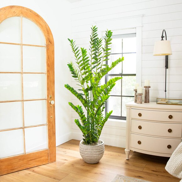 6-ft Artificial Zamioculcas Plant - SKU #T5091 - 6