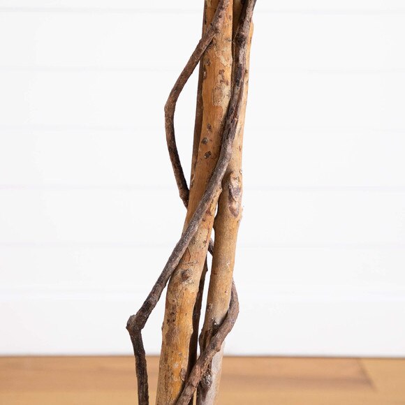 6-ft Artificial Halloween Black Ficus Tree with Natural Trunk - SKU #T5137 - 3