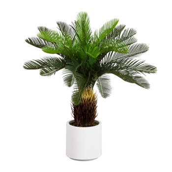 30-in UV Resistant Artificial Cycas Palm Tree in White Decorative Planter Indoor/Outdoor - SKU #T5355