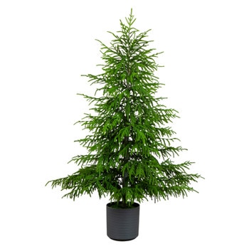 6-ft Artificial Real Touch Norfolk Island Pine Christmas Tree with Natural Look - SKU #T5369