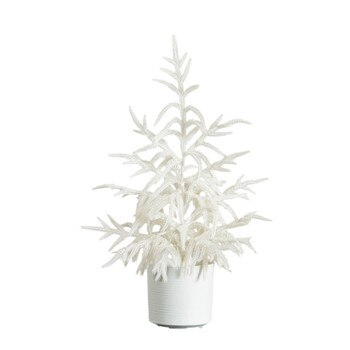 2-ft Artificial Real Touch White Norfolk Island Pine Christmas Tree with Natural Look - SKU #T5376