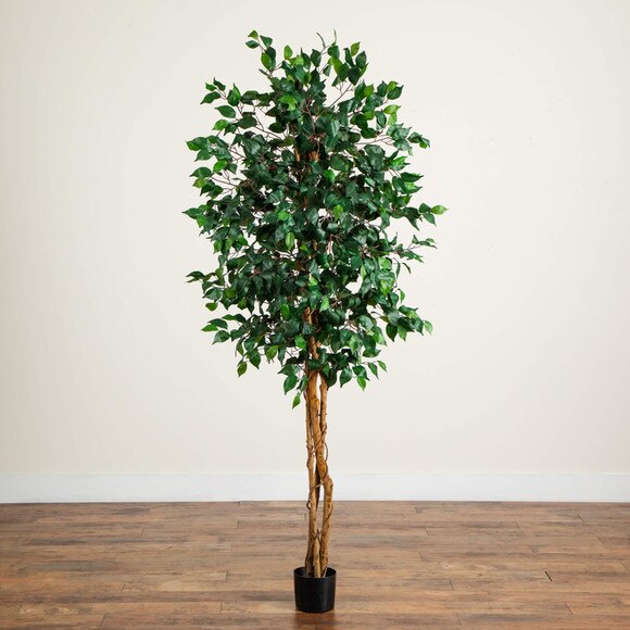 74 Triple Trunk Ficus Artificial Tree with Natural Trunks - SKU #T5404 - 2
