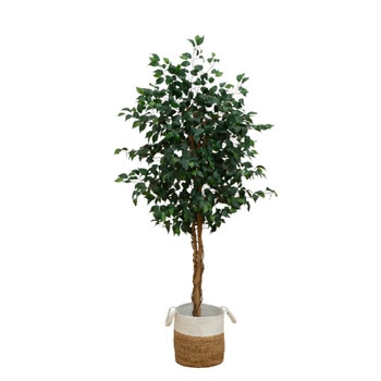 6 Triple Trunk Ficus Artificial Tree with Natural Trunks in Handmade Natural Jute and Cotton Planter - SKU #T5469